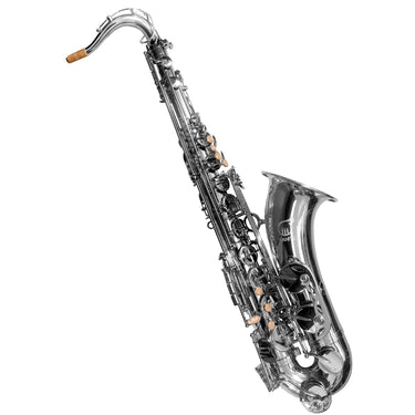 Sax Tenor Fanpro Sxttn Sib Niquelado